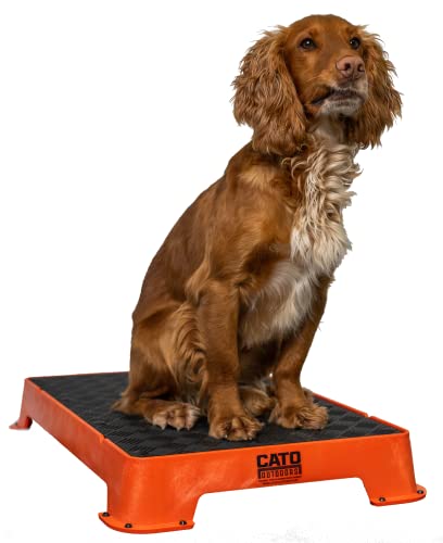 Cato Board - Dog Training Platform (Orange, Rubber Surface) - color: Orange
