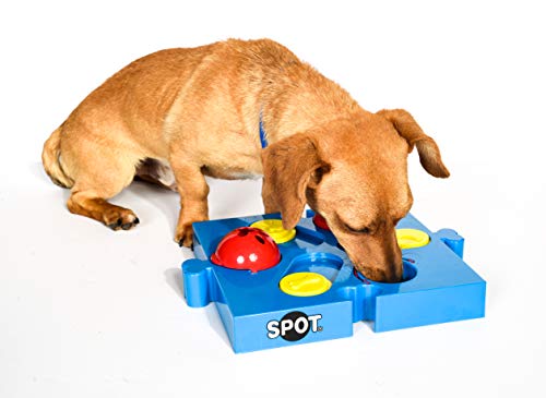 SPOT by Ethical Products Interactive Seek-A-Treat Flip 'N' Slide Dog Toy Puzzle | Dog Treat Reward Toy Connector Puzzle Improves Your Dog's IQ | Specially Designed for Training Treats - size: 1