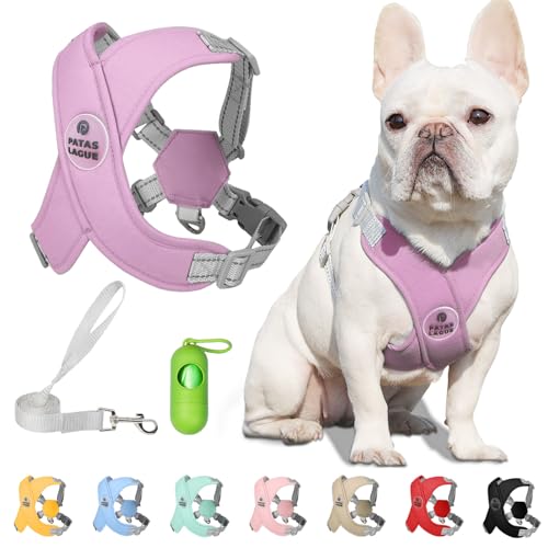 Patas Lague Dog Harness with Leash Set Adjustable Soft Padded Step-in Dog Vest No Choke No Pull Reflective for Small Pets with Poop Bags and Dispenser, Solid and No-chew, Purple XS - color: Purple, size: XS (Neck 16-19.1'' Chest 18.8-21.5'')