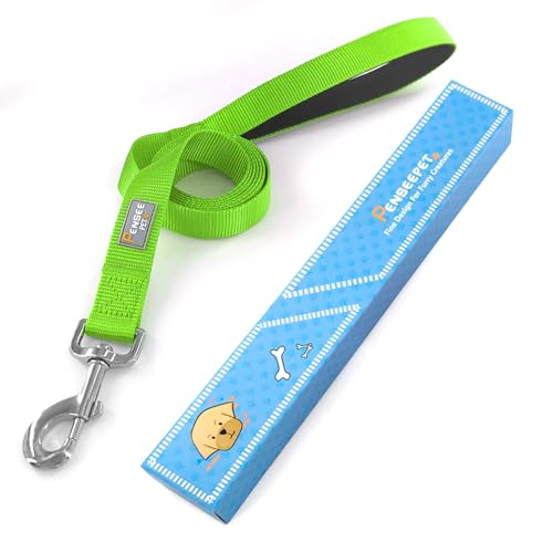 Basic Dog Leashes 6 FT Padded Handle Nylon Dogs Leashes for Small Dogs Green - color: Green, size: Small : 5/8" x 6 FT
