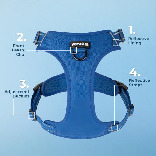 Voyager Dog Harness Dual Leash Attachment No-Pull Control Adjustable Soft but Strong Pet Harness for Medium and Large Dogs with 3M Reflective Technology, Royal Blue Lattice Nylon, L (Chest: 25-30") - color: Royal Blue Lattice Nylon, size: L (Chest: 25 - 3
