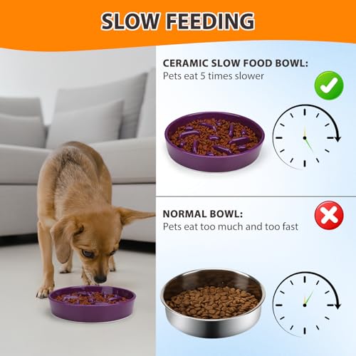 Ceramic Slow Feeder Dog Bowl, 2 Cups Dog Food Bowls for Small, Medium, and Large Breed, Anti-Slip Puzzle Food Dish to Slow Down Eating (Deep Purple, 2 Cups) - color: Maze - Deep purple