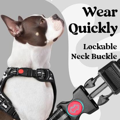 rabbitgoo Dog Harness Small Sized, No Pull Easy On & Off with 3 Buckles Pet Harness, Adjustable Soft Walking Vest with 2 Clips and Handle, Reflective for Small Dogs, Mountain Black, S - color: Mountain Black, size: Small