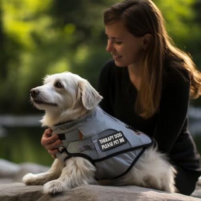2 Pieces Therapy Dog Please Pet Me Dog Patches, Service Dog Patches with Hook Backing for Service Animal Vests, Harnesses - color: Therapy Dog Please Pet Me