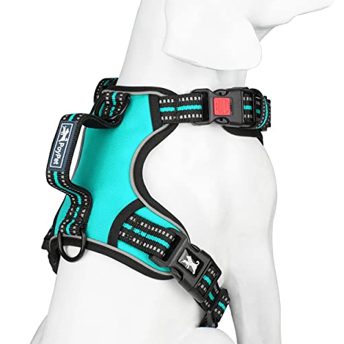 PoyPet No Pull Dog Harness, No Choke Front Clip Reflective Dog Vest with Soft Padded Vertical Handle, 3 Leash Attachments for Small Medium Large Dogs (Mint Blue,L) - color: Mint Blue, size: Large