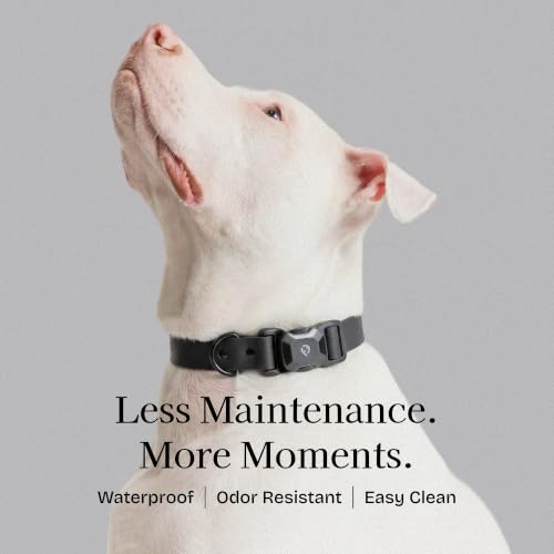 Fei & Eve VERO Dog Collar, Black, Small | MagEase Magnetic Buckle, Waterproof PVC, Odor Resistant, Easy Clean, Heavy Duty - color: Black, size: S