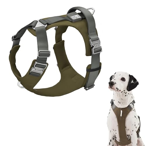 Dog Harness Heavy Duty No Pull Dog Harness with Handle, QR Code Anti-Loss Alloy Buckle Adjustable Nylon Dog Vest Control Harness for Medium Large Dogs Walking Training (Space Gray, M) - color: Space Gray, size: M