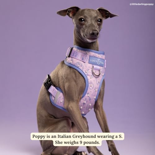 Lucy & Co. Magnificent Mermaids Pearl No-Pull Dog Harness, Adjustable Front Clip Harness with Comfort Padding, X-Large - color: Magnificent Mermaid, size: X-Large