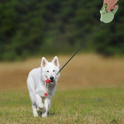 Retractable Dog Leash 3 Meter Automatic Expandable Nylon Tape Leash with Brake Lock for Small to Medium Dogs Outdoor Walking and Puppy