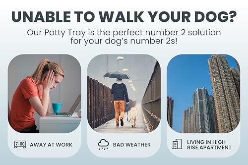 Pet Awesome Dog Potty Tray/Puppy Pee Pad Holder 25”x20” Indoor Wee Training for Small and Medium Dogs - color: Blue
