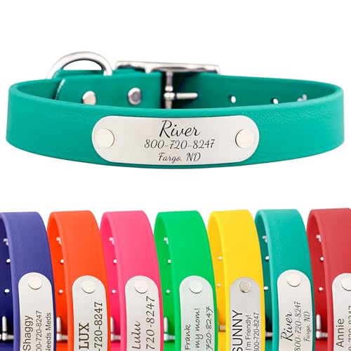dogIDs Personalized Dog Collar – Custom Waterproof Soft-Grip Biothane with Laser-Engraved Nameplate, Durable & Odor-Resistant, USA Made | Teal, 1 in x 18 in (Fits Neck Sizes 16-20 in) - color: Teal, size: 1 in x 18 in (Fits Neck Sizes 16-20 in)