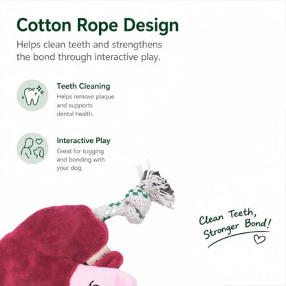 Green Sheep Puppy Plush Dog Toy, No Stuffing Squeaky Toy with Recycled Cotton Rope for Teething, Comfort and Gentle Play, Small Dogs and Puppies, Mushroom - color: Mushroom