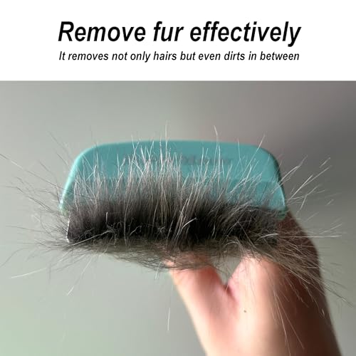 Pet Deshedding Tool with Curve Blade, Cat Grooming Brush, Tight V-shaped Teeth Shedding Comb for Cats and Dogs (Green, Small) - color: Green, size: Small