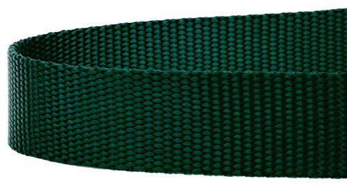 Country Brook Petz - Vibrant 17 Color Selection - Heavyduty Doublehandle Nylon Leash (6 Foot, 3/4 Inch Wide, Green) - color: Green
