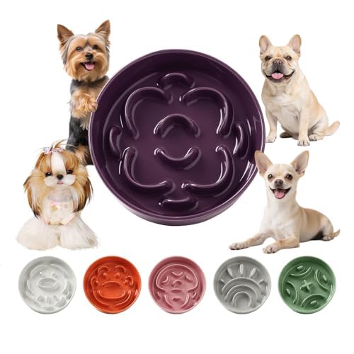 Ceramic Slow Feeder Dog Bowl, 0.8 Cups Anti -Slip Slow Feeding Bowl to Slow Down Eating, 6.3 Inch Dog Food Dish for Small Breeds, Purple - color: Purple, size: Small