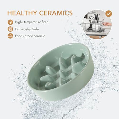Havniva Ceramic Slow Feeder Dog Bowls, 0.9 Cups Dog Bowl Slow Feeding for Small Breed, 6.1inch Puzzle Dog Food Bowl Slow Feeder Non-Slip Anti-Gulping and Anti-Choking Reduces Bloating - color: 1 x Light Green-C, size: 6.1inch