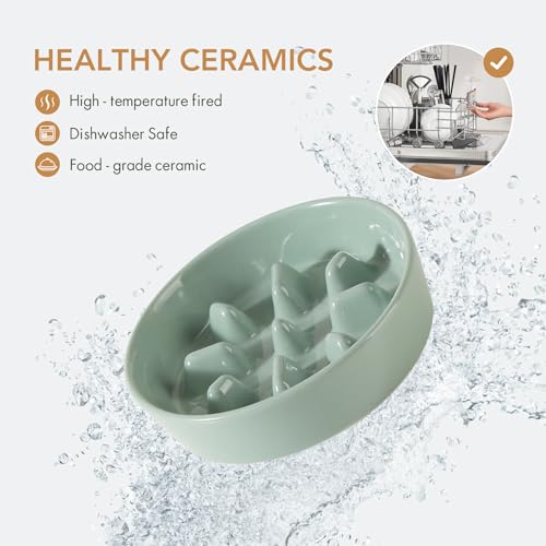 Havniva Ceramic Slow Feeder Dog Bowls, 1.2 Cups Dog Bowl Slow Feeding for Small and Medium Breed, 7.3inch Puzzle Dog Food Bowl Slow Feeder Non-Slip Anti-Gulping and Anti-Choking Reduces Bloating - color: 1 x Light Green-C, size: 7.3inch