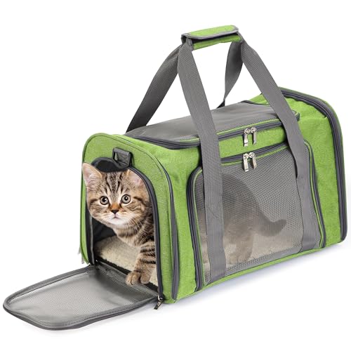 Mr. Pen- Pet Carrier, 17.5" x 11.2" x 11.5", Medium Size, Green | Portable Travel Carrier for Small Pets, Cats & Small Dogs, Breathable Mesh, Safety Inner Leash - color: Green