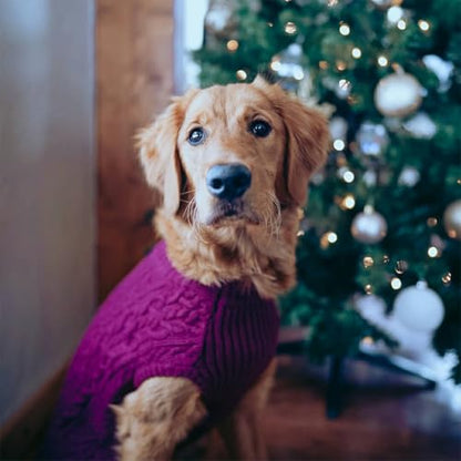 Blueberry Pet Classic Fuzzy Textured Knit Pullover Turtle-Neck Dog Sweater in Dark Olive - Award-Winning Christmas Sweater for Small Dogs 10" - color: Dark Olive, Turtle-neck, size: 10 inch