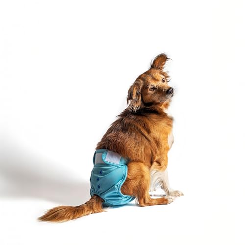 rocket & rex Washable Reusable Female Dog Diapers with Snaps (Small, 3ct) | Adjustable for a customized, snug fit. Includes liner pocket for extra absorbency. Guaranteed for 300 washes. - size: Small