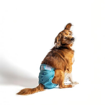 rocket & rex Washable Reusable Female Dog Diapers with Snaps (Small, 3ct) | Adjustable for a customized, snug fit. Includes liner pocket for extra absorbency. Guaranteed for 300 washes. - size: Small