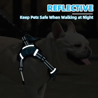 PUPTECK Dog Harness Small Sized Dog, Step in Adjustable Reflective Dog Vest Harness Escape Proof, No Pull Soft Padded Harness Easy Control, Blue, XS - color: Blue, size: XS (CHEST: 11.5"-16")