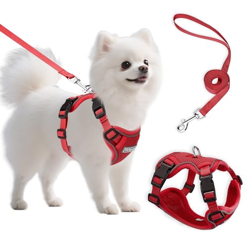 Small Dog Harness and Leash Set, Reflective Soft Breathable Mesh Vest, 3 Buckles, Adjustable Neck and Chest,Step in Dog Harness for Walking, Running, Training, Red, S - color: Red, size: Small