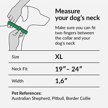 CollarDirect Martingale Dog Collar Heavy Duty Nylon Slip Collars for Small Medium Large Dogs [Nylon, Patterned, Pink, XL, 19"-24"] - color: Pink, size: X-Large (Neck Size 19"-24")