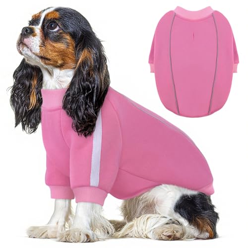 Queenmore Fleece Dog Sweater for Girl Dogs, Pullover Pink Dog Sweatshirt Sweatshirt with Leash Hole, Reflective Stripes – Cozy Winter Fleece Jacket for Small/Medium/Large Femal Puppy XS - color: Pink, size: X-Small