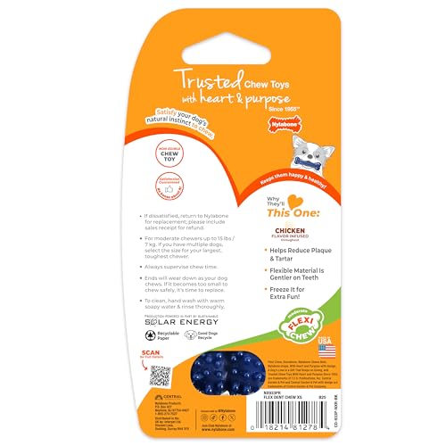 Nylabone Textured Dental Bone Flexi Chew Toy for Dogs, Dog Toys for Moderate Chewers, Chicken Flavor, X-Small - Up to 15 lbs, 1 Count - size: X-Small