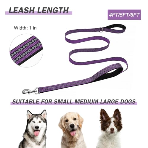 Hikiko 5FT Purple Dog Leash with Dual Handles Heavy Duty Reflective Strong Dog Leash for Walking and Training - color: Purple, size: 1 in x 5 ft
