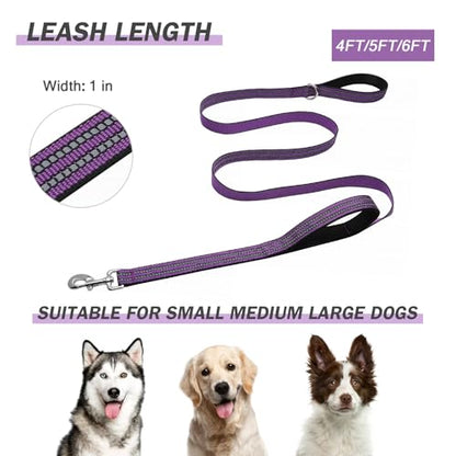 Hikiko 5FT Purple Dog Leash with Dual Handles Heavy Duty Reflective Strong Dog Leash for Walking and Training - color: Purple, size: 1 in x 5 ft
