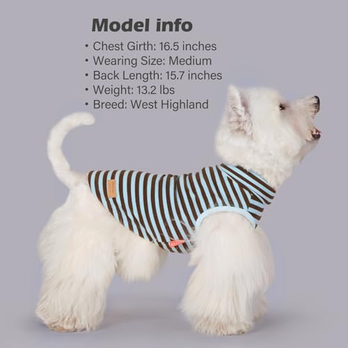 KYEESE 2Pack Dog Sweater Stretchy Dogs Clothes Soft Pets Clothes Warm Pets Coats Dog Sweaters for Small Dogs Male Turtleneck Small Pets Sweaters Pullover Pet Sweatshirt - color: 6# Stripe+blue, size: Large (12-18lbs)