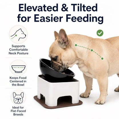 Ceramic Bulldog Bowl Dog Feeding Bowl - Dog Dish Wide Mouth Pet Sterile Tilted Pet Feeder with Anti-Skid Rubber Mat for Small Medium Dogs (White Bowl Set) - color: white bowl set