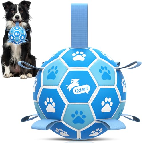 QDAN Dog Toy Balls, World Cup Balls for Dogs, Soccer Ball for Dogs with Straps, Outdoor Dog Toys for Medium (6 Inch) - color: White-Blue, size: Medium Size 2