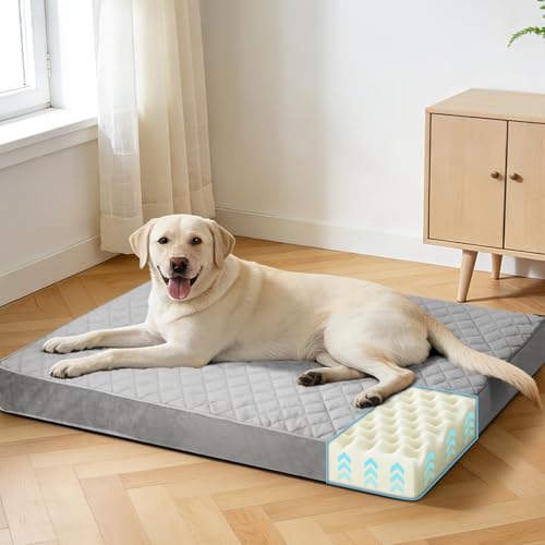 NUPIDA Orthopedic Dog Beds for Extra Large Dogs Waterproof Pet Kennel Pad with Removable Washable Cover and Non-Slip Bottom, 44x32 Inch, Grey - color: Light Gray, size: 44.0"L x 32.0"W x 4.0"Th