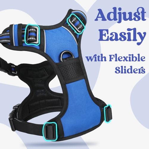 rabbitgoo Dog Harness Small Sized, No Pull Easy On & Off with 3 Buckles Pet Harness, Adjustable Soft Walking Vest with 2 Clips and Handle, Reflective for Small Dogs, Blue, S - color: Blue, size: Small