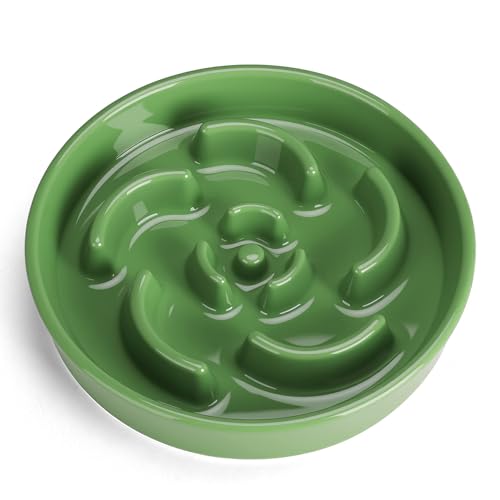 Slow Feeder Dog Bowl, Ceramic 2 Cups Dog Food Bowls for Small, Medium, and Large Breed, Anti-Slip Maze Puzzle Food Dish to Slow Down Eating (Green, 2 Cups) - color: Flower - Green