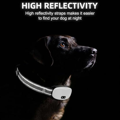 Collar Replacement Strap, Reflective Replacement Nylon Collar Strap Dog GPS Training Bark Receiver Collars, Durable Adjustable E Collar Straps for Small Medium Large Dogs，Black Reflective dots - color: Black Dot