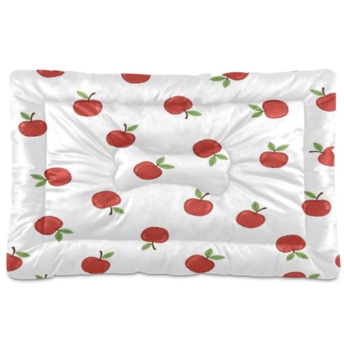Apples Pattern Pet Bed Mat for Dogs and Cats, Soft Washable Crate Pad with Non-Slip Bottom, Cozy Bed Cushion for Small Medium Large Pets, 24x36 Inch - size: Medium