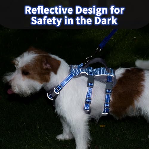 Huntboo Reflective Dog Harness with Handle, Escape Proof, No Slip, Breathable, Lightweight, Adjustable Lift Harness for Small, Medium, and Large Dogs Walking, Training, and Running Gear(Sea Blue,XS) - color: Sea Blue, size: X-Small(Pack of 1)