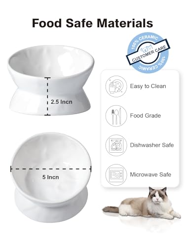 ABRUTY Cat Food Bowl, 5 OZ Ceramic Elevated Kitten Water Bowl, 15° Tilted Raised Pet Feeder, Anti Vomiting and Whisker Friendly Dishes for Fat Faced, Cat, Kitten, Small Dog - color: White Cat, size: 2 Pack