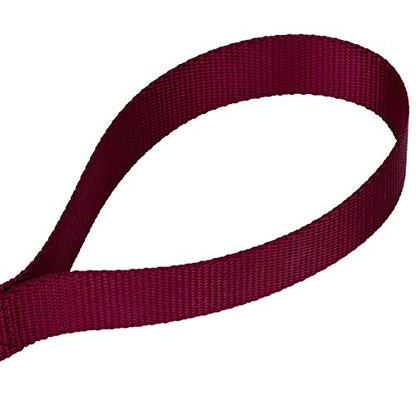 Country Brook Petz - Burgundy Martingale Heavyduty Nylon Dog Collar and Double Handle Leash (3/4 Inch, Small) - color: Burgundy, size: Small (Pack of 1)