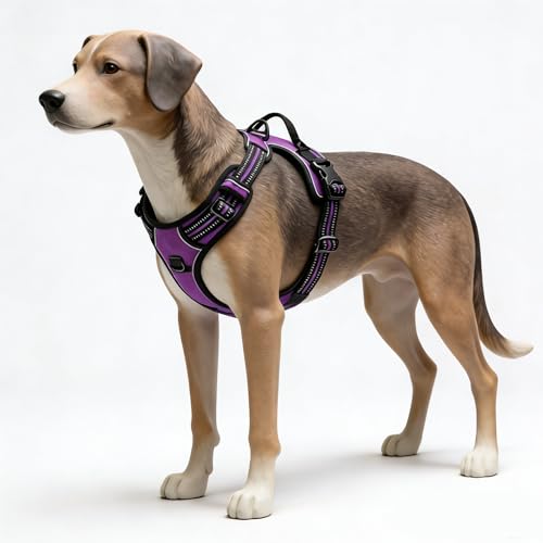 Purple No-Pull Dog Harness with 2 Leash Clips，Soft Padded Vest for Large Dog, Adjustable Reflective Dog Vest Easy to Put on and Take Off, (Neck: 17"~24", Chest: 24"~32",Purple L) - color: Purple, size: Large