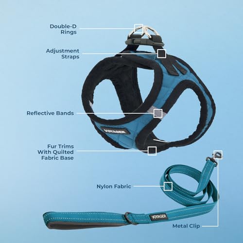 Best Pet Supplies Voyager Step-in Plush Dog Harness - Soft, Step in Vest Harness and Reflective Dog 5 ft Leash Combo with Neoprene Handle for Small and Medium Dogs, Turquoise Plush, M - color: Harness Leash Set (Turquoise Plush), size: M (Chest: 16 - 18")