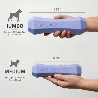 Playology Dog Toys | Squeaky Chew Stick for Large Dogs | Blueberry Scented Jumbo Fetch Toy | Squeaky Dog Chew Toy - size: Jumbo, style: Blueberry