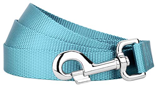 Country Brook Petz - Vibrant 17 Color Selection - Heavyduty Doublehandle Nylon Leash (6 Foot, 3/4 Inch Wide, Ocean Blue) - color: Ocean Blue