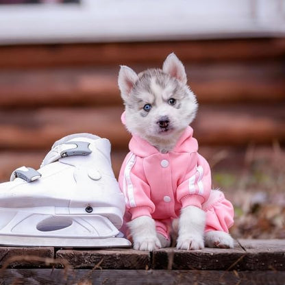 Dog Hoodie Security Clothes 4 Legs Jumpsuit Sweatshirt Hoodies Soft & Warm Dog Outfit Pullover Dog Winter Clothes Sweater for Small Medium Large Dogs Cats (Pink, XX-Small) - color: Pink, size: XX-Small