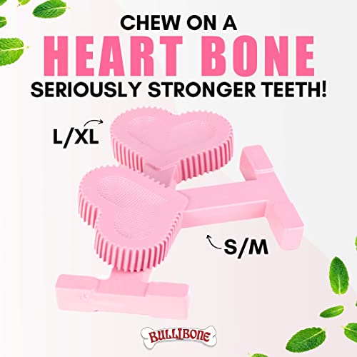 Bullibone Nylon Dog Chew Toy for Aggressive Chewers - Dental Hygiene Bone with Peppermint Flavor, Durable Tough Chew Toys for Large Dogs, Indestructible Dog Bone - Single - size: Large - Single