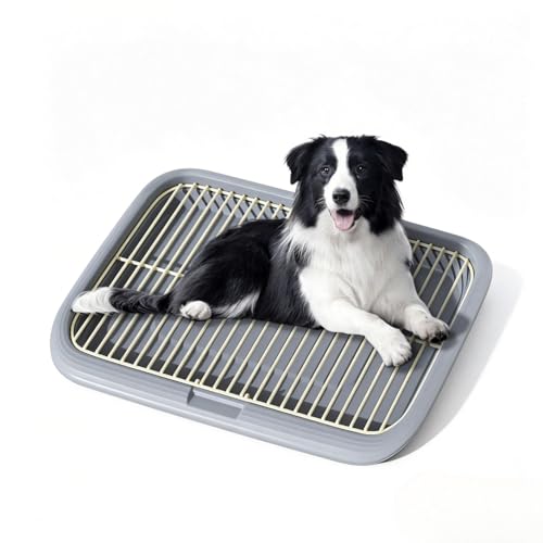 Dog Potty Tray Indoor Pet Pee Pad Holder for Small & Medium Dogs, Puppy Training Pad Holder, Pet Toilet Litter Box, Dog Bathroom Tray, Housebreaking Potty Supplies 17.72''LX12.99''WX1.97''H(Grey) - color: Grey